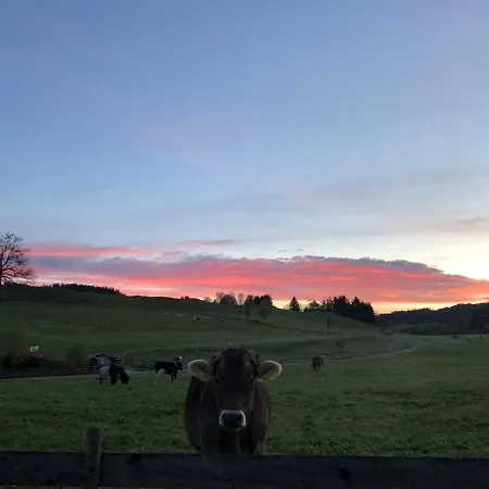 Σπίτι διακοπών Eugler Weitnau